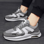 Grigio B
