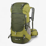 Verde militare