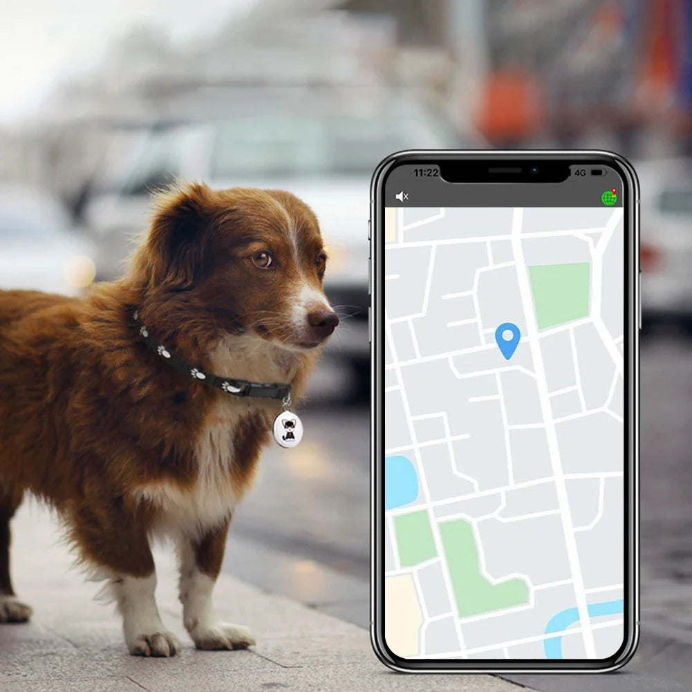Dispositivo di localizzazione GPS compatto per la sicurezza dei tuoi animali domestici, cani o gatti.