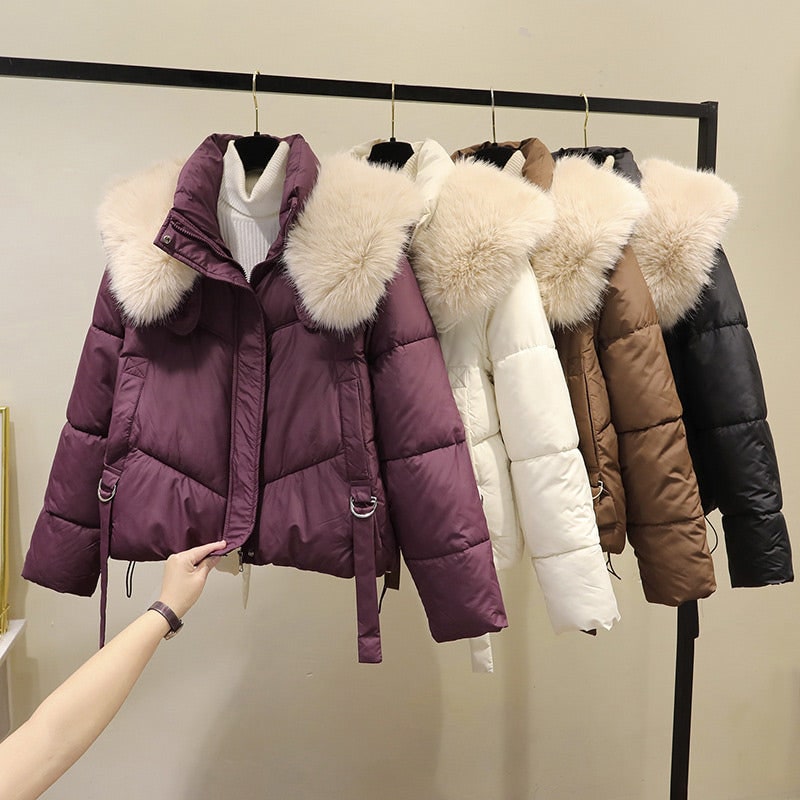 Giacca invernale da donna: piumino crop elegante, con zip, perfetto capospalla con collo in pelliccia.
