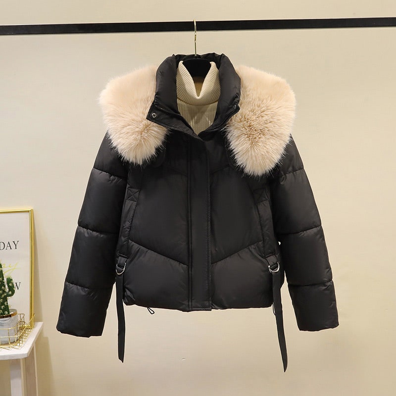 Giacca invernale donna crop elegante, con cerniera e morbido collo in pelliccia sintetica.