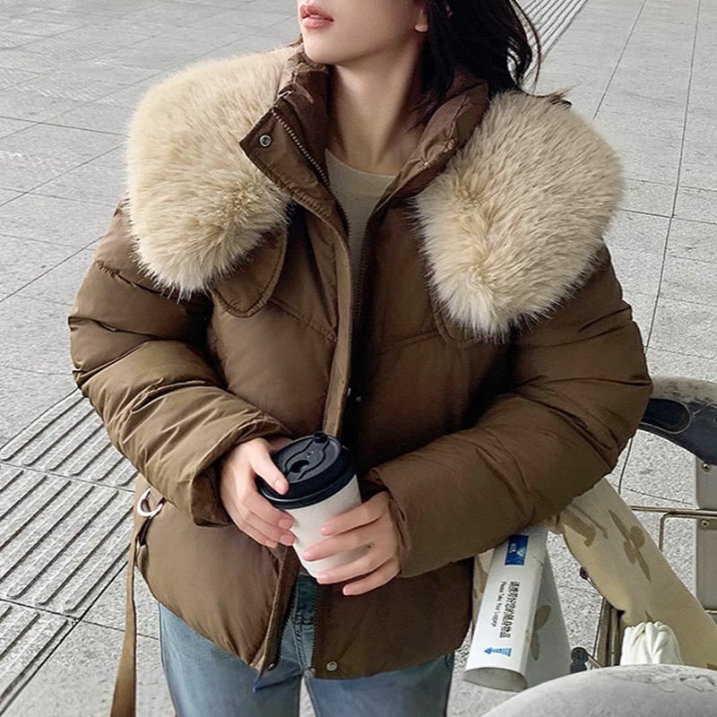 Moderna giacca piumino crop da donna, collo in pelliccia sintetica e chiusura zip. Ideale capospalla.