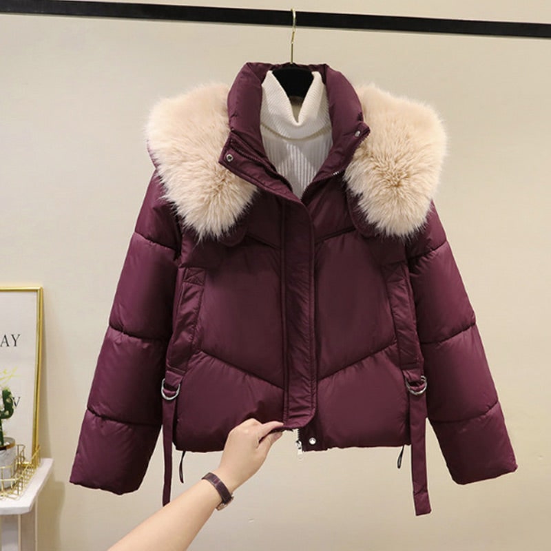 Capospalla donna invernale: piumino crop casual con zip e lussuoso collo in pelliccia sintetica.