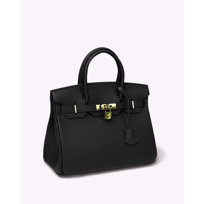 Elegante borsa donna strutturata, ideale per lavoro, viaggio o serate. Con robusto manico superiore e lucchetto.