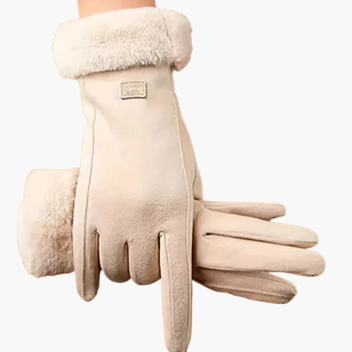 Guanti donna in camoscio sintetico e pelliccia ecologica, accessori moda caldi ed eleganti per l'inverno.